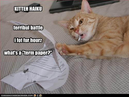 kitten haiku terribul battle i fot fur hours what's a "term paper"?
